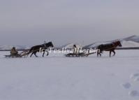 Horse Sleighing in China's Snow Town