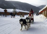 Dog Sledding in China's Snow Town