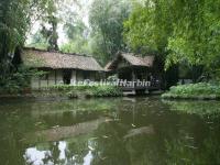 Du Fu Thatched Cottage