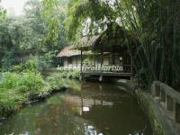 Du Fu Thatched Cottage