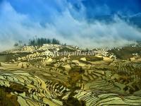 Duoyishu Rice Terraces in Yuanyang