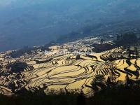 Duoyishu Rice Terraces Yuanyang