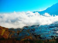 The Fog Over the Duoyishu Rice Terraces 