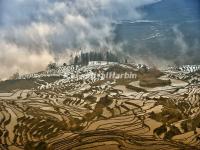 Duoyishu Rice Terraced Fields