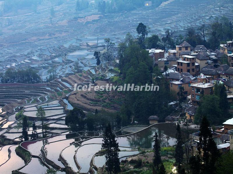 The Rice Terraces at Duoyishu Scenic Area