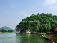 A Distance View of the Elephant Trunk Hill