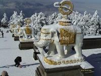 Mount Emei Snow