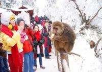 Emei Mountain