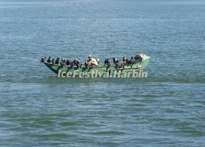 Erhai Lake