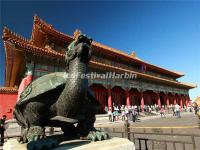 A Tortoise Statue in Beijing Forbidden City