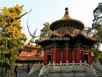 Forbidden City