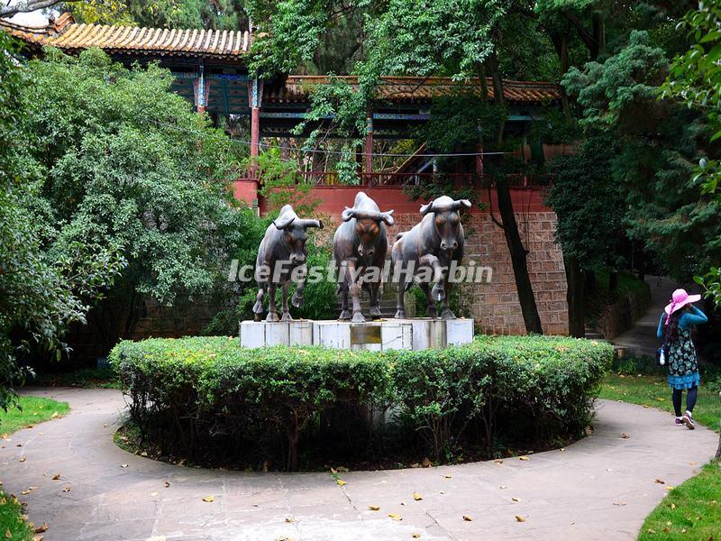 Golden Temple Park Scenery 