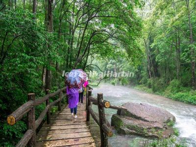 Zhangjiajie Golden Whip Stream