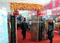 A Farm Product Exhibition Hall of Harbin Cold Zone Expo 2013