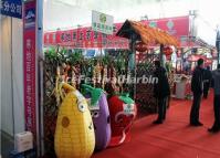 Harbin Cold Zone Expo China