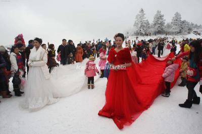 Ice Wedding Harbin