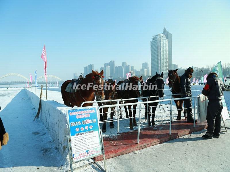 Harbin Ice and Snow Happy Valley 2015