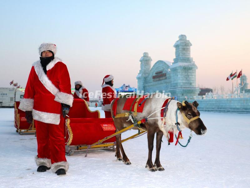 Harbin Ice and Snow World 2016 