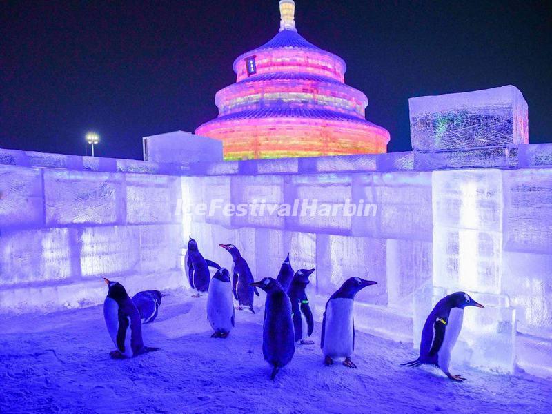 Harbin Ice and Snow World 2018