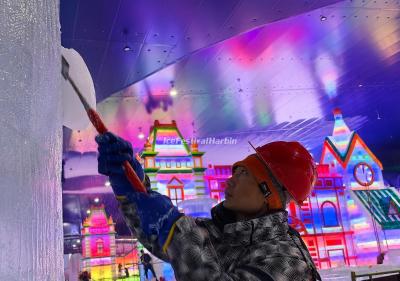 Harbin Ice and Snow World Indoor Park and Four Seasons Amusement Park