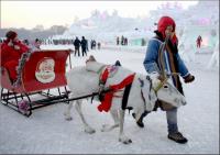 Harbin Ice and Snow World