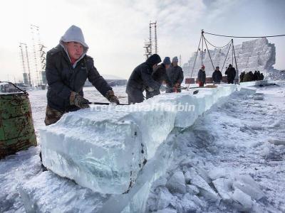 Harbin Ice Collecting Festival 2019