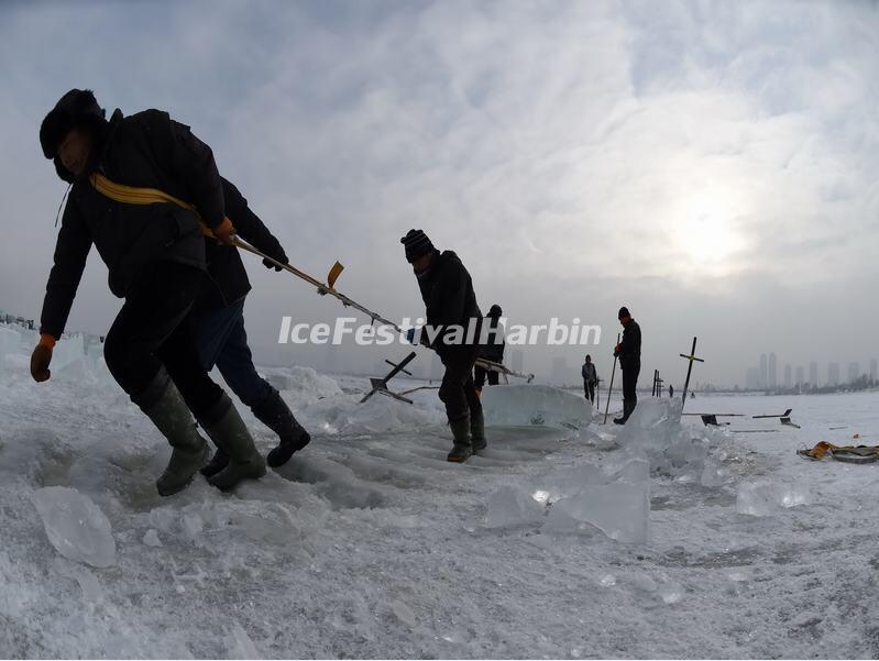 Harbin Ice Collecting Festival 2019