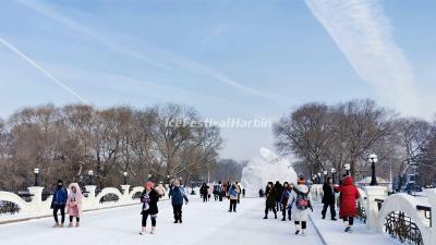 Harbin Ice Festival 2020