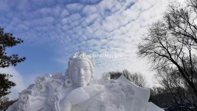 Harbin Ice Festival 2020