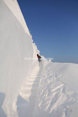 Harbin Ice Festival 2020