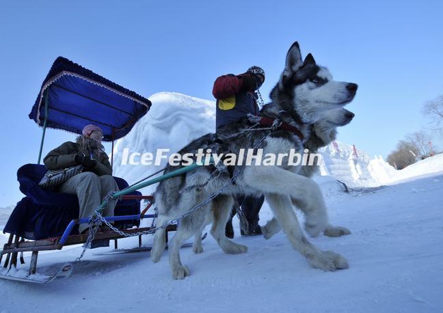 Harbin Ice Festival Join-in Group Tour