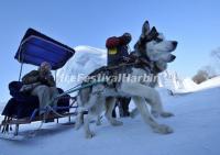 Harbin Ice Festival Pictures 2011