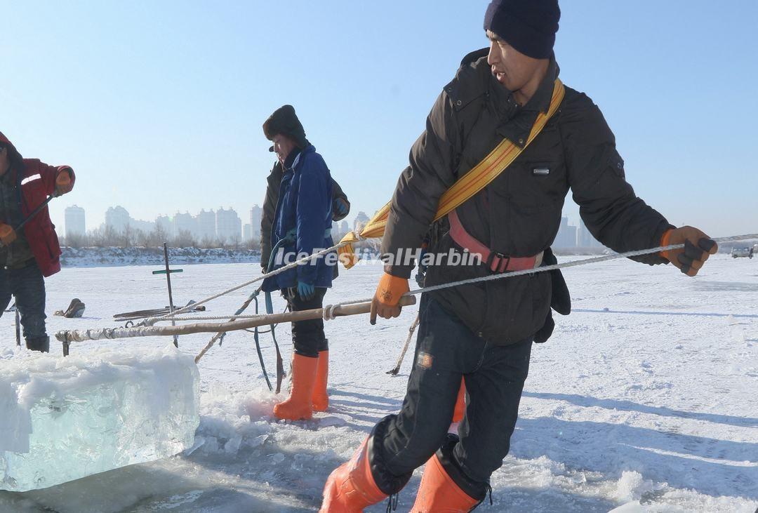 Harbin Ice Harvest Festival
