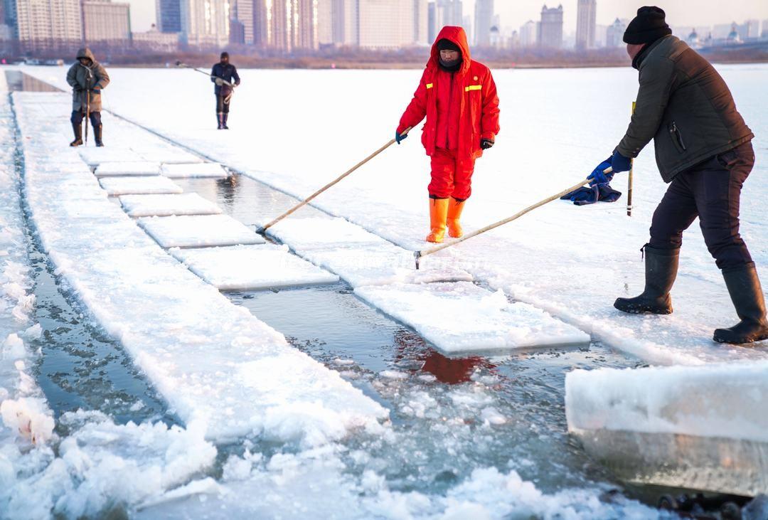 Harbin Ice Harvest Festival