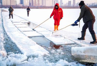 Harbin Ice Harvest Festival