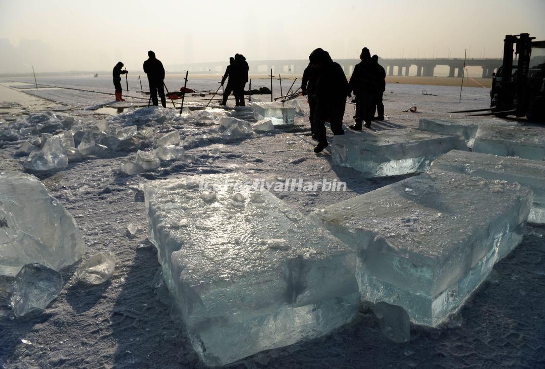 Harbin Ice Harvest Festival