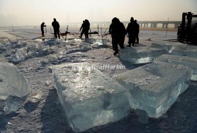 Harbin Ice Harvest Festival