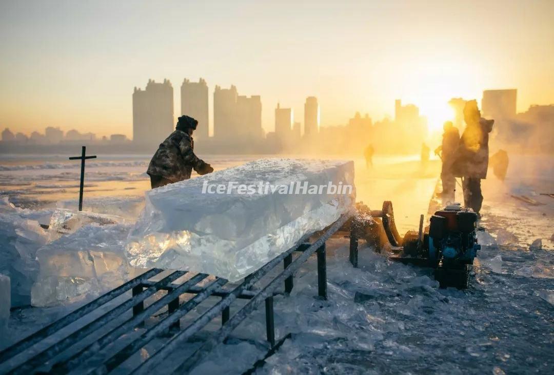 Harbin Ice Harvest Festival