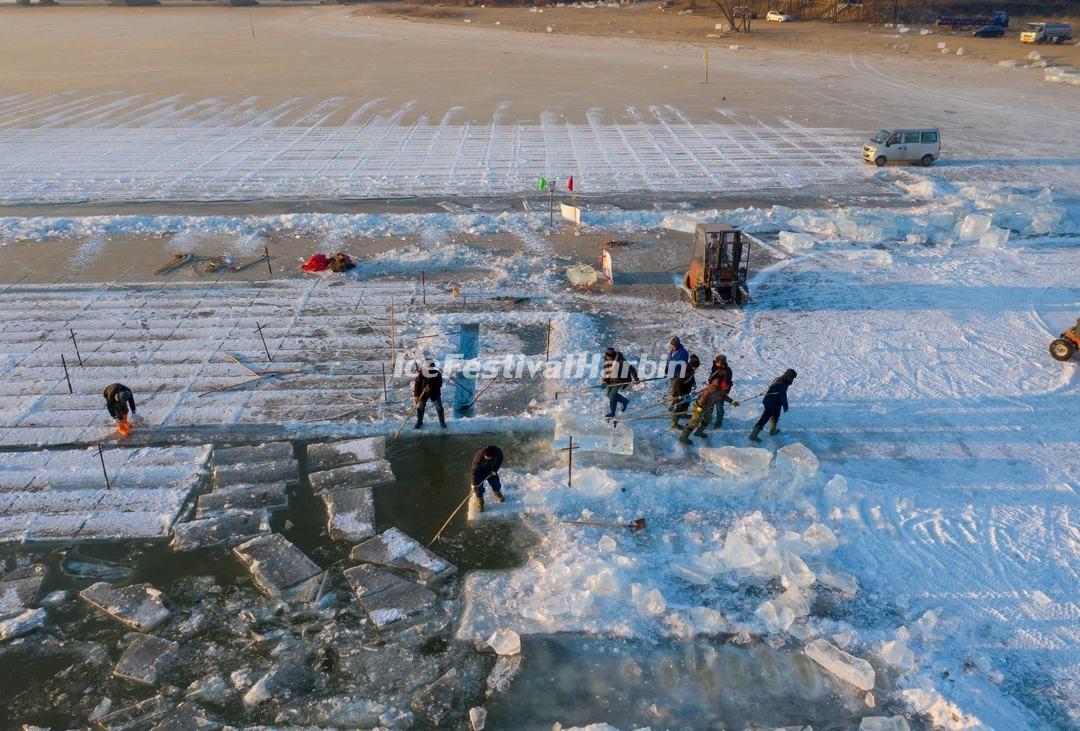 Harbin Ice Harvest Festival
