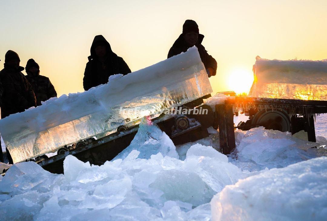 Harbin Ice Harvest Festival