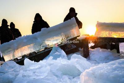 Harbin Ice Harvest Festival