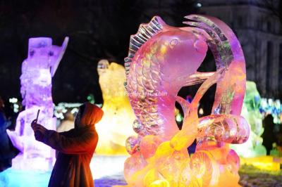 Harbin Ice Lantern Art Fair 2024