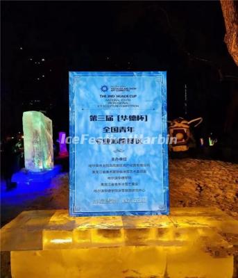 Harbin Ice Sculpture Competition