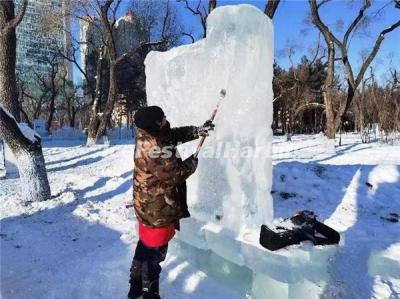 Harbin Ice Sculpture Competition