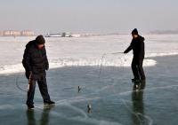 Harbin Ice Spinning Top