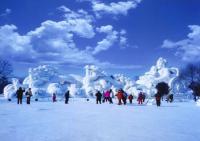 Harbin International Ice and Snow Sculpture Festival