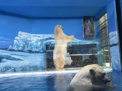 Harbin Polar Bear Hotel