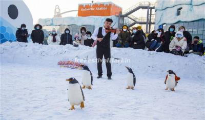 Polarland Park Harbin 