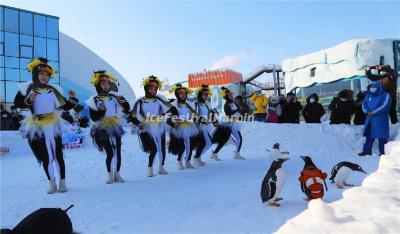 Polarland Park in Harbin 