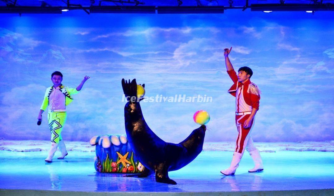 Harbin Polar Land